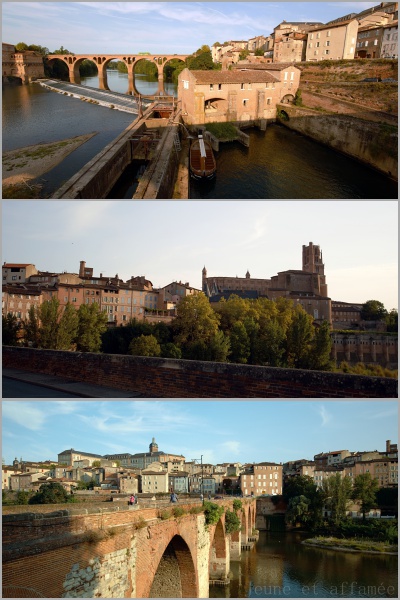 Albi, les ponts sur le Tarn