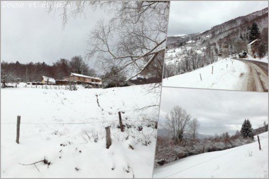 Une petite balade dans la neige