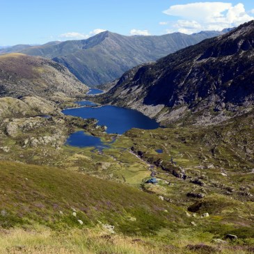 Dernier regard sur les étangs