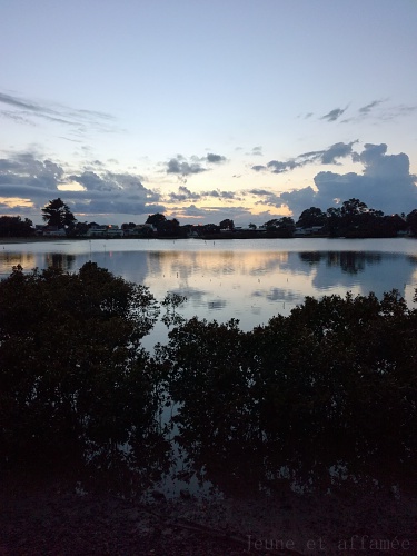 Lever de soleil à Waiwera