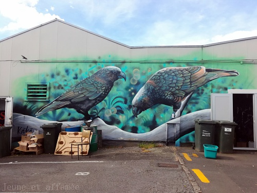 Street art dans les rues de Taupo