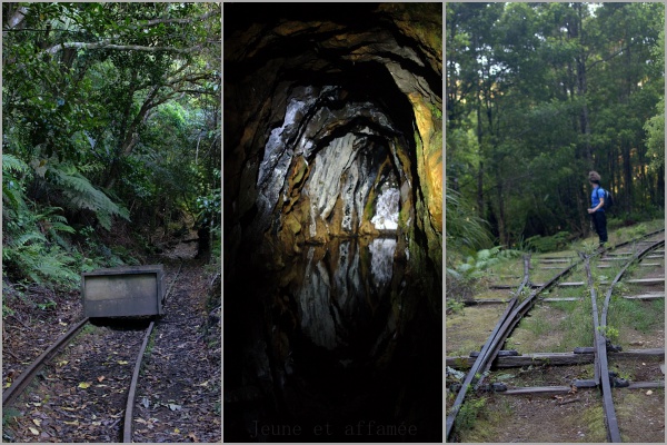 Wairongomai gold mines