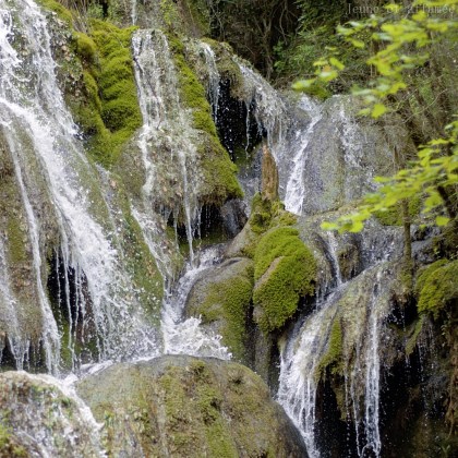 Cascade pétrifiante de Roquefort