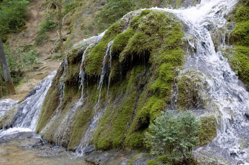 Cascade pétrifiante de Roquefort