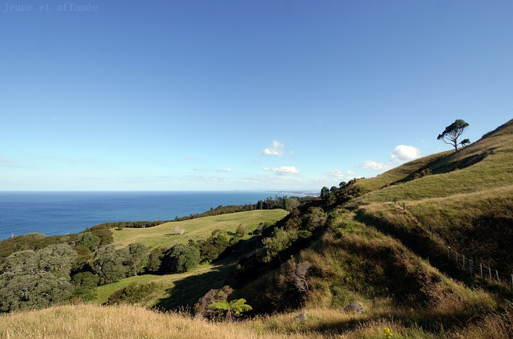 Collines et mer, Coromandel