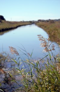 Un coin préservé où la faune est à l'abri