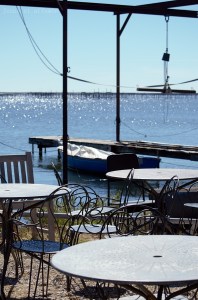 Dégustations de moules et d'huîtres Atelier N Co