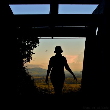 Gold mine north island NZ