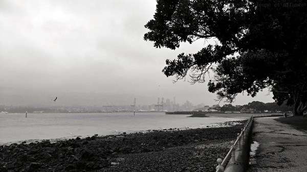 Vue du port d'Auckland sous la pluie depuis Devonport