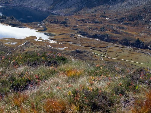 Aménagement de la zone humide, Bassiès