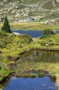 Refuge et étangs de Bassiès