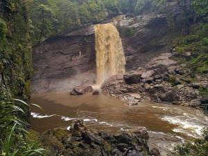 Charming creek, Nouvelle Zélande