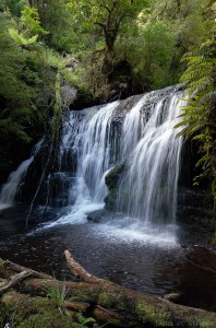 Waipohatu walk et ses cascades