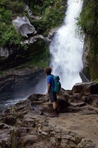 Petite cascade à Abel Tasman