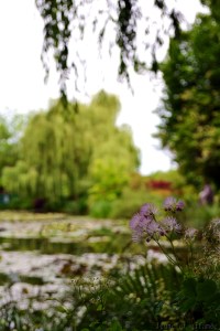 Etang de Giverny