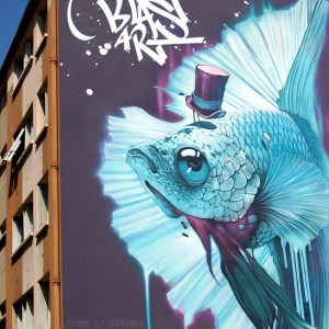 Street-art sur les murs de la Croix-Rousse