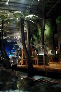 Rez de chaussée du musée Te Papa