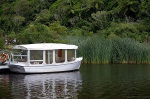 Zealandia, Wellington