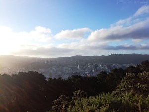 Vue sur Wellington en fin de journée depuis le Mont Victoria