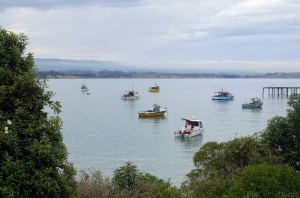 Le petit port de Moeraki, Nouvelle-Zélande