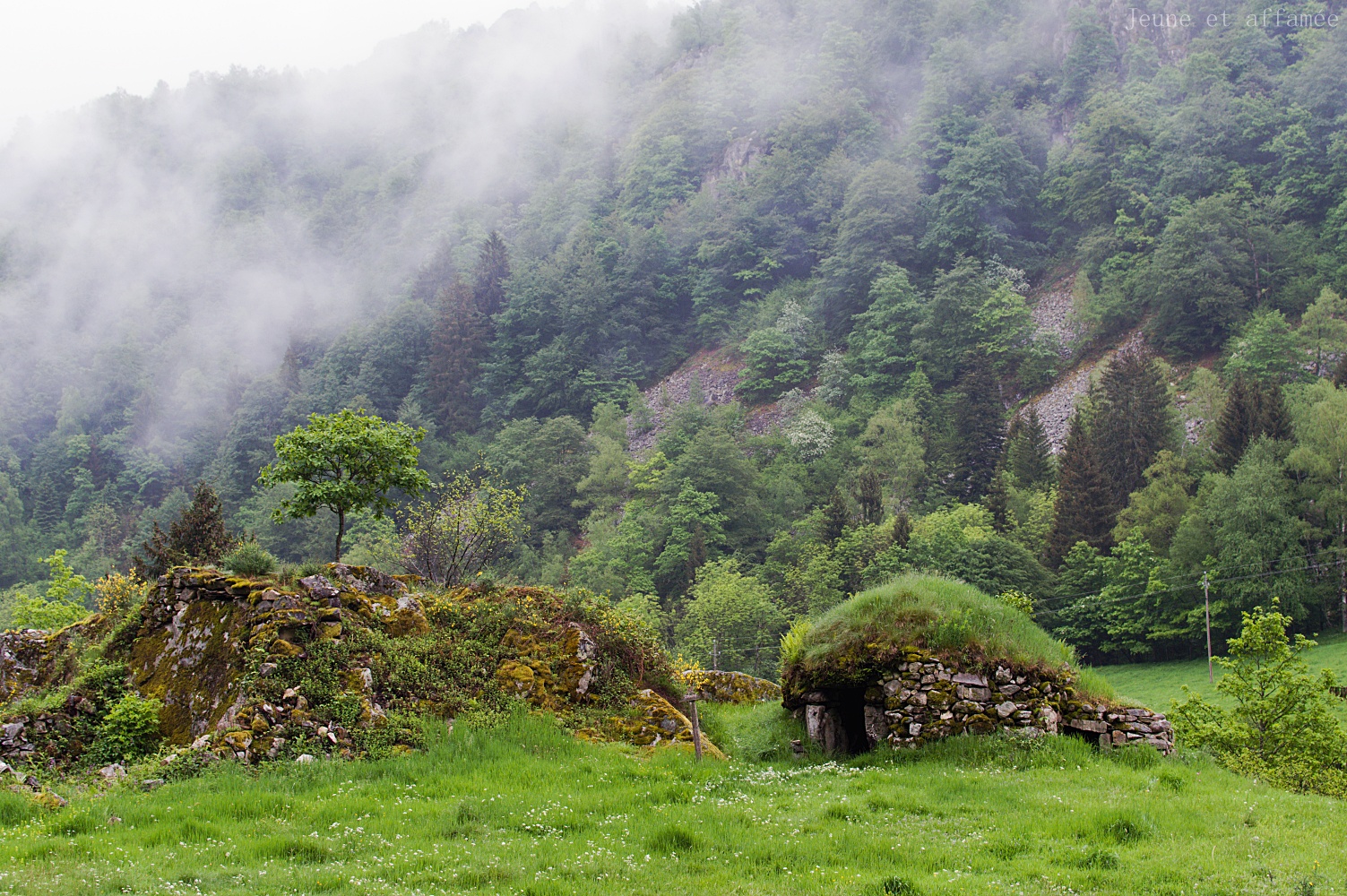 Cabane en pierre, dans le brouillard
