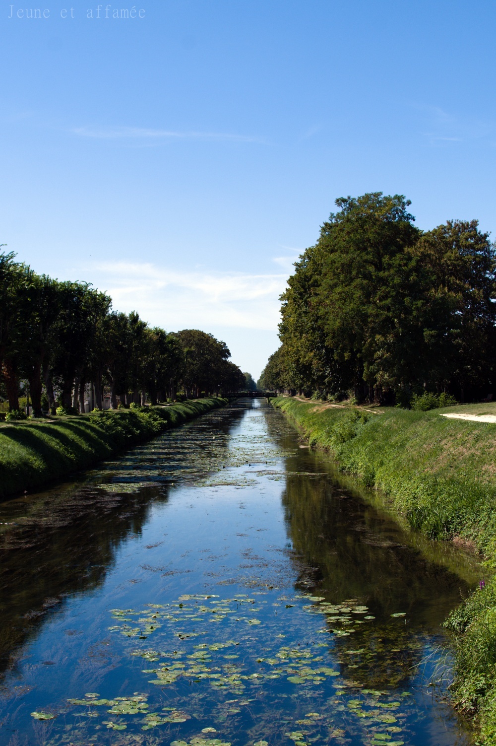 Le canal du Berry, Vierzon