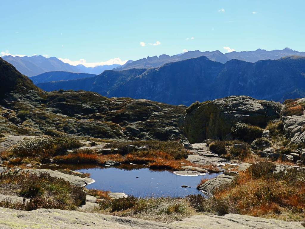 Vue sur les montagnes depuis l'étang d'Arbu. On voit un laquet au premier plan et derrière une chaîne de montagnes