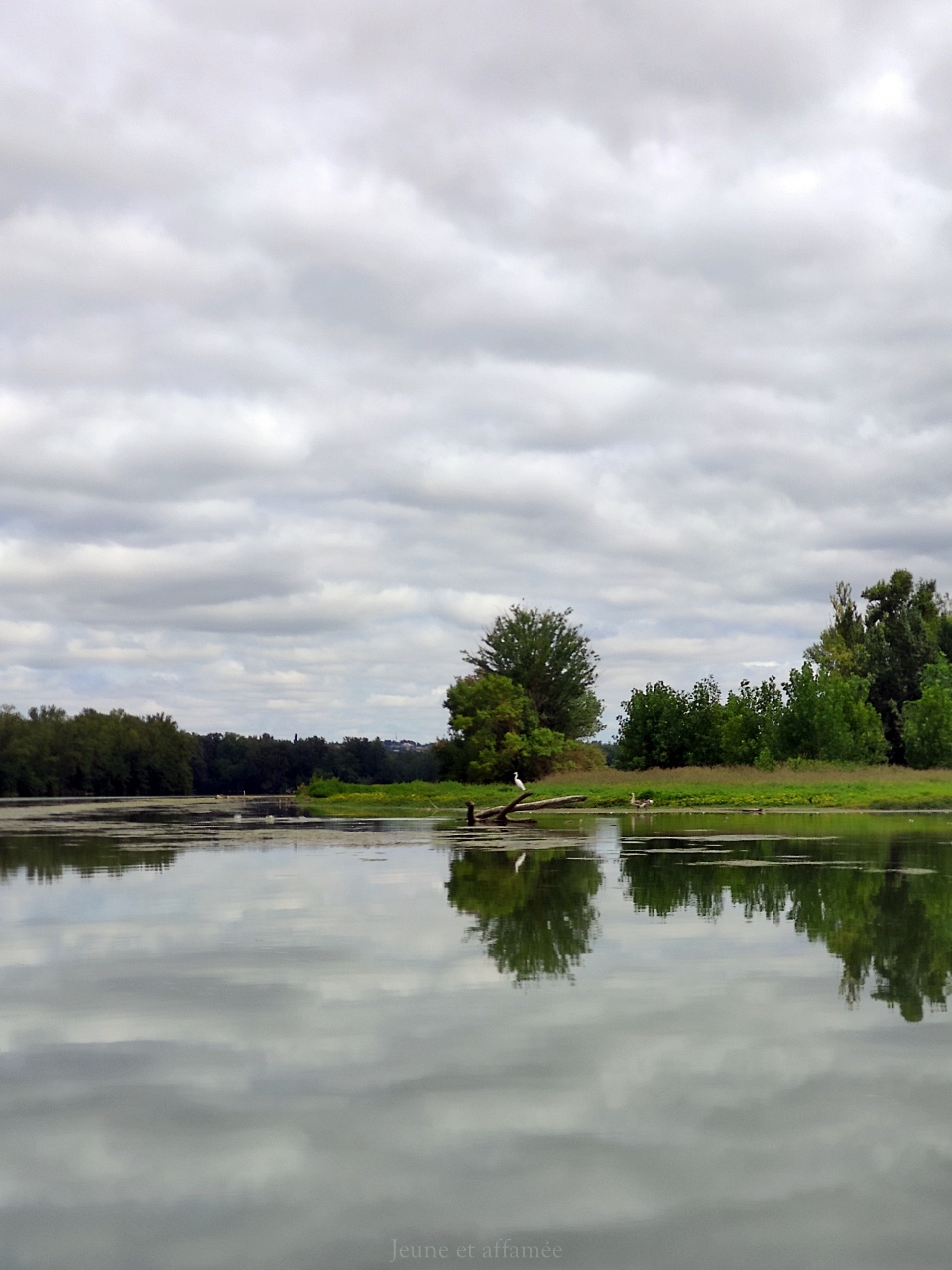 Moissac, kayak à la confluence du Tarn et de la Garonne