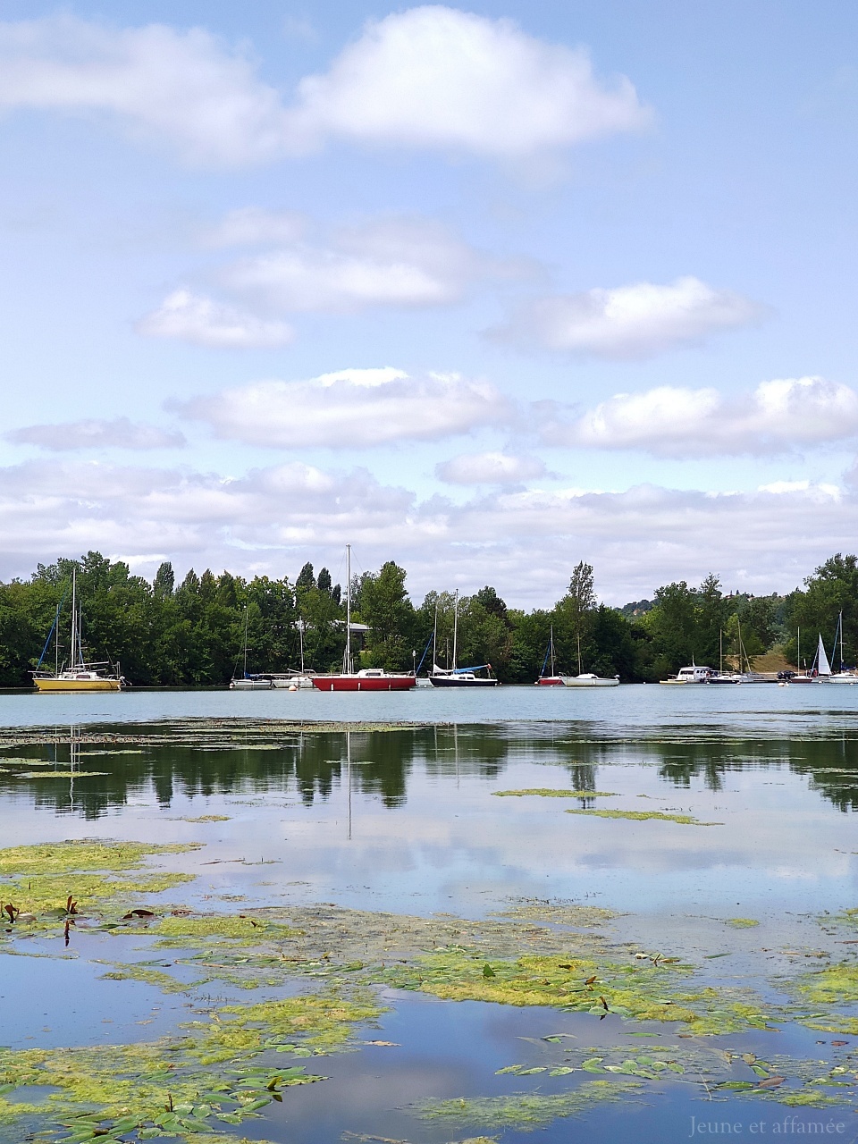 Confluence du Tarn et de la Garonne, Saint Nicolas de la Grave