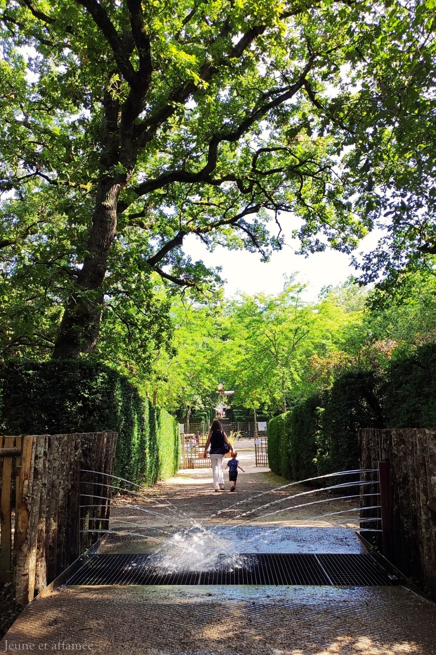Labyrinthe de buis de Merville