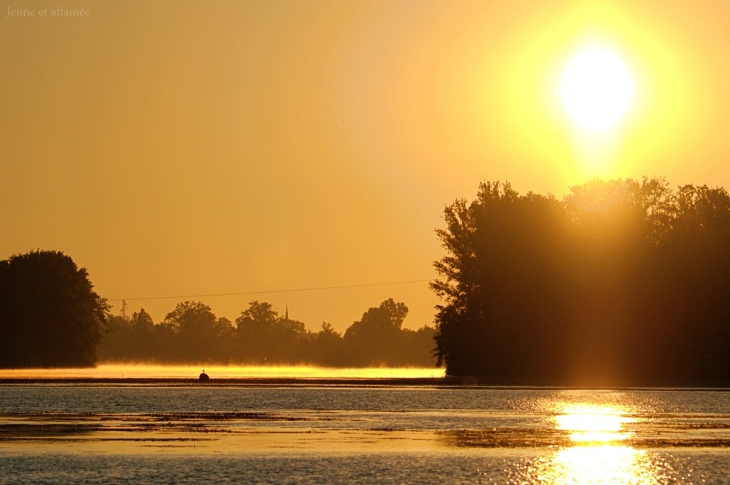 Lever de soleil sur la réserve ornithologique de Saint Nicolas de la Grave