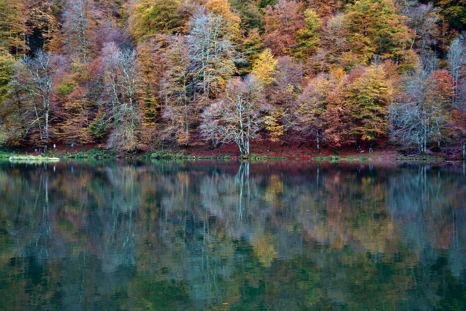 Arbres aux couleurs d'automne qui se reflètent dans un lac