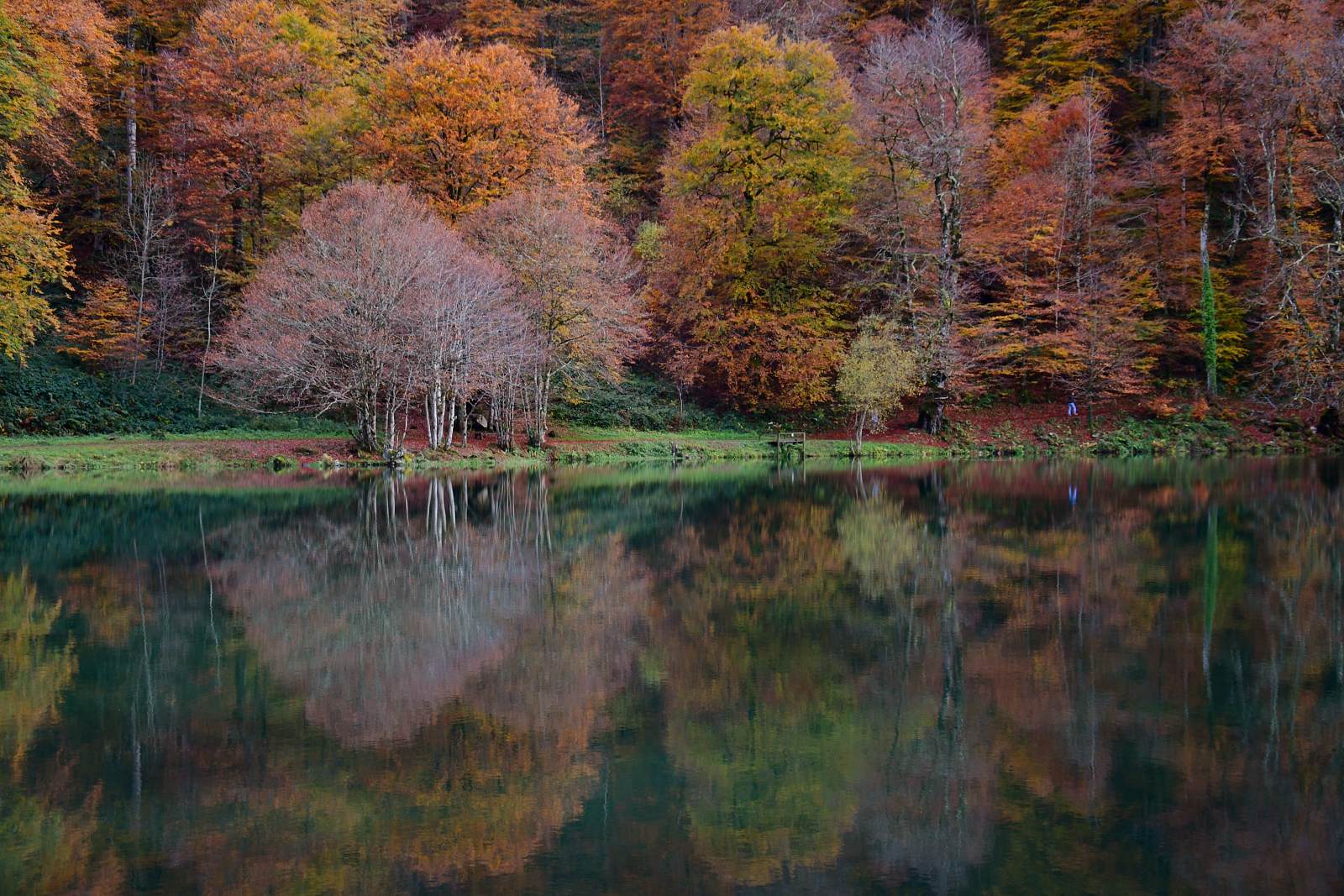 Arbres aux couleurs d'automne qui se reflètent dans un lac